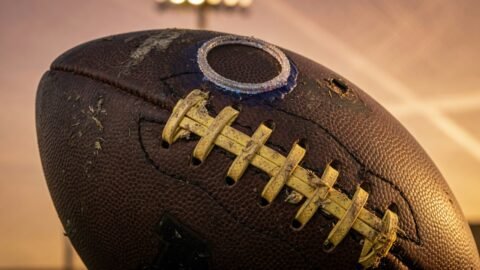 Michigan Just Sold the Big House and the Purity Act Died With It