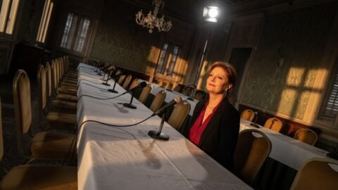 Susan Sarandon Still Loses Roles Over Palestine at 79